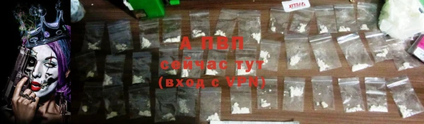 СК Рославль