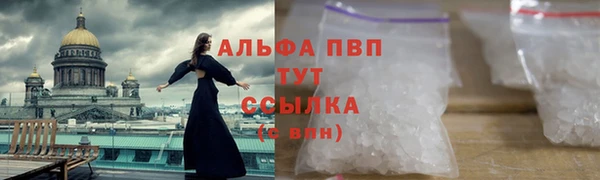 амф Протвино