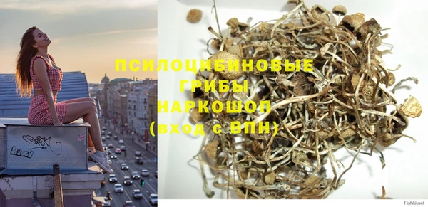 амф Протвино