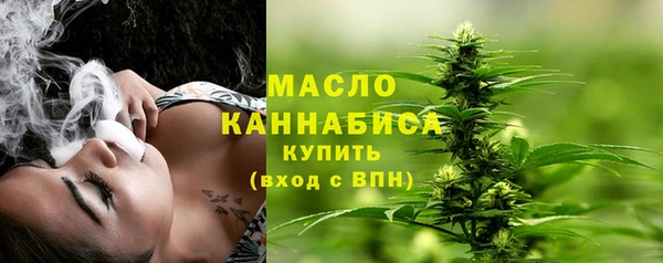 амф Протвино