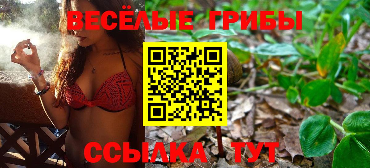 Псилоцибиновые грибы GOLDEN TEACHER Братск